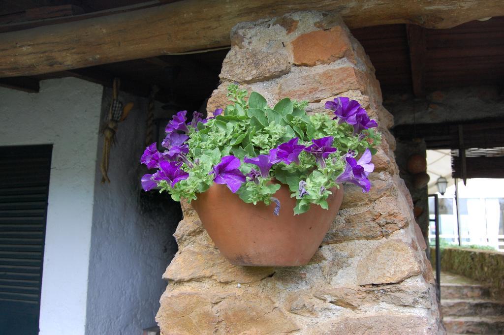Hotel Casa Da Quinta De S. Martinho Vila Real Zewnętrze zdjęcie