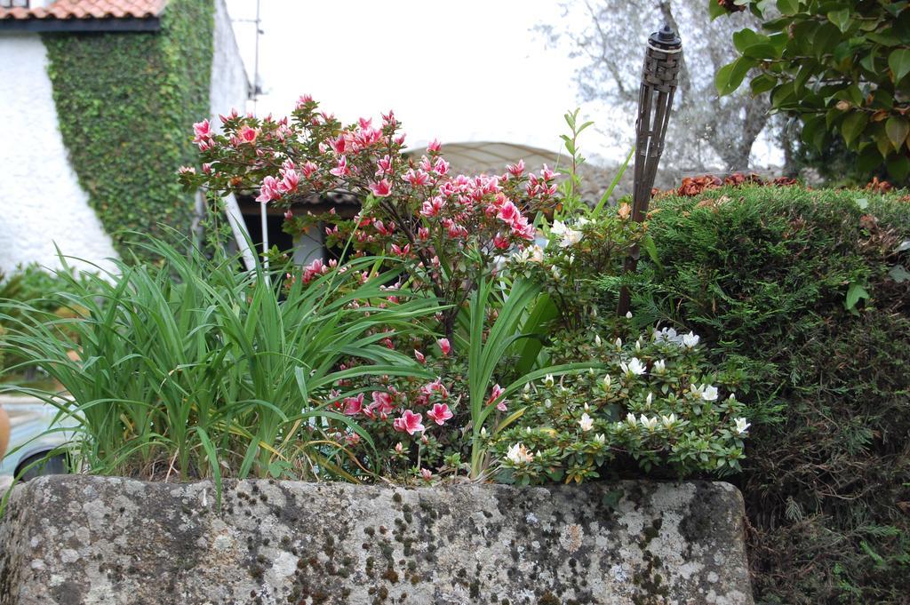 Hotel Casa Da Quinta De S. Martinho Vila Real Zewnętrze zdjęcie