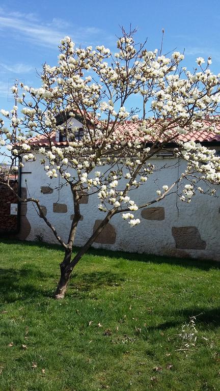 Hotel Casa Da Quinta De S. Martinho Vila Real Zewnętrze zdjęcie